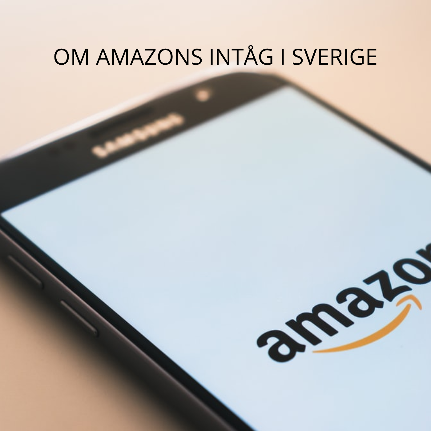 Amazons intåg i Sverige